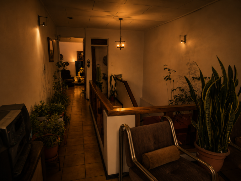 Local Comercial con Apartamento